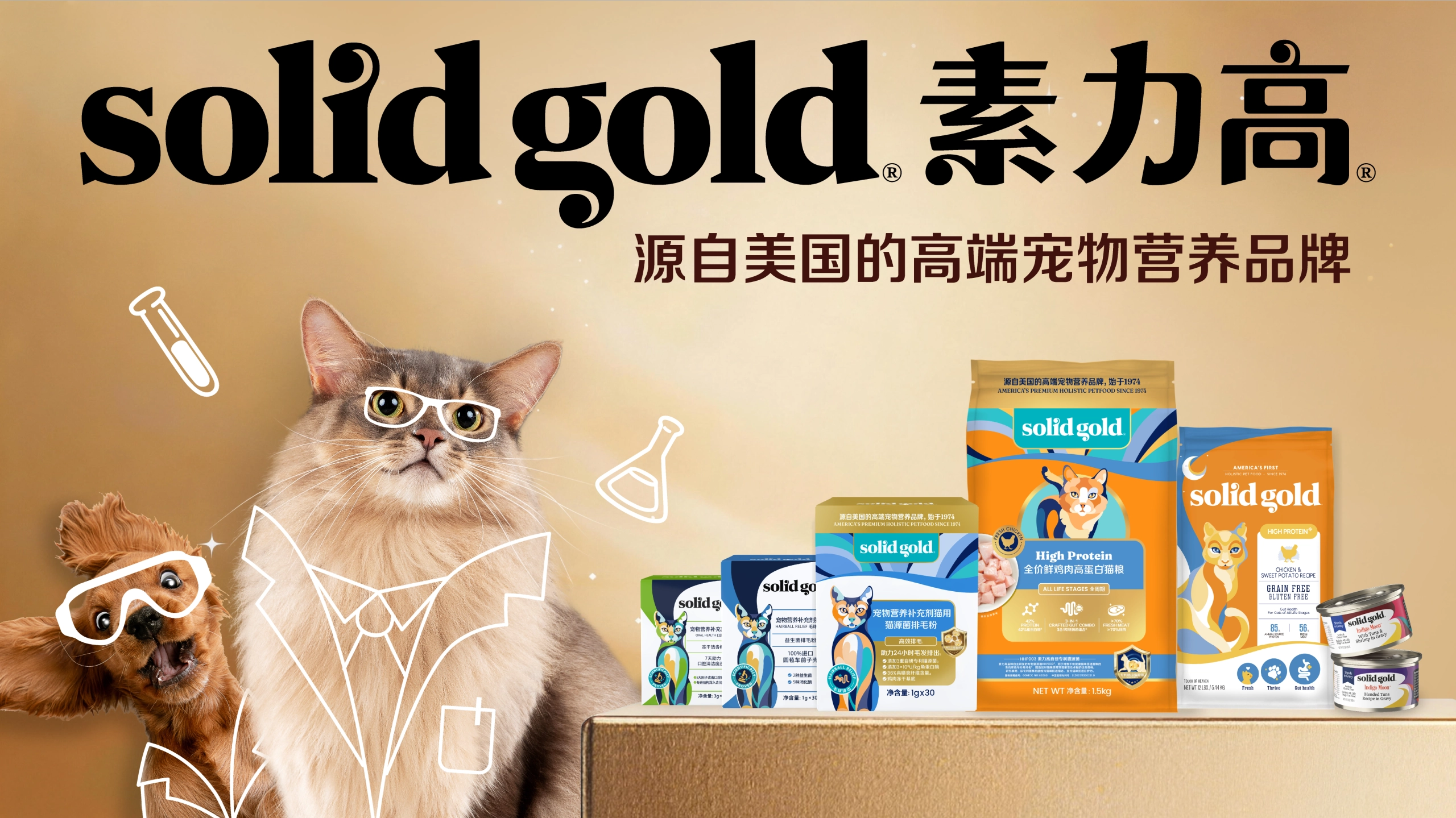 Solid Gold D11 product launch